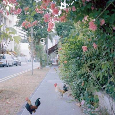 澳门新莆京游戏大厅