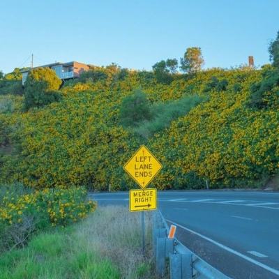 开元app下载手机版