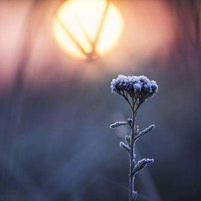 华体育会app官方下载