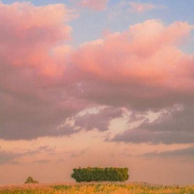 LD乐动·体育截图