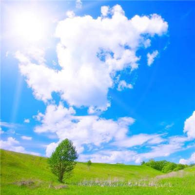 246天天好彩app下载