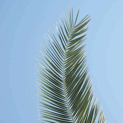 云平台app手机版下载