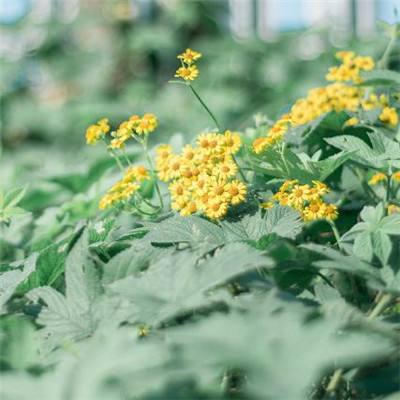 博雅体育app下载官网手机版