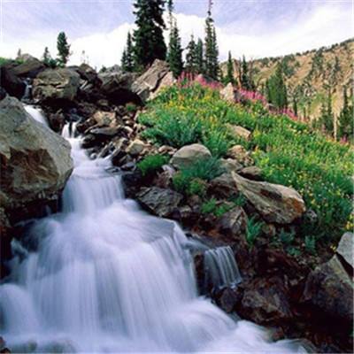 博雅体育app下载官网手机版