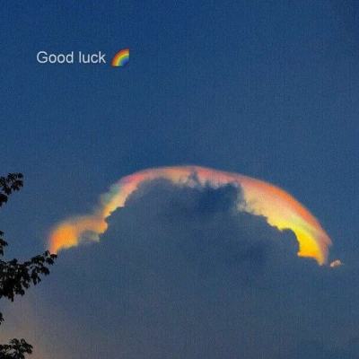 开云·体育平台app下载截图