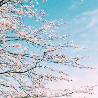 百姓彩票Welcome·官方网站